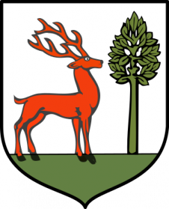 Herb Bukowsko COA old