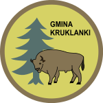 Herb Kruklanki COA